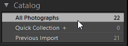 Lightroom Catalog