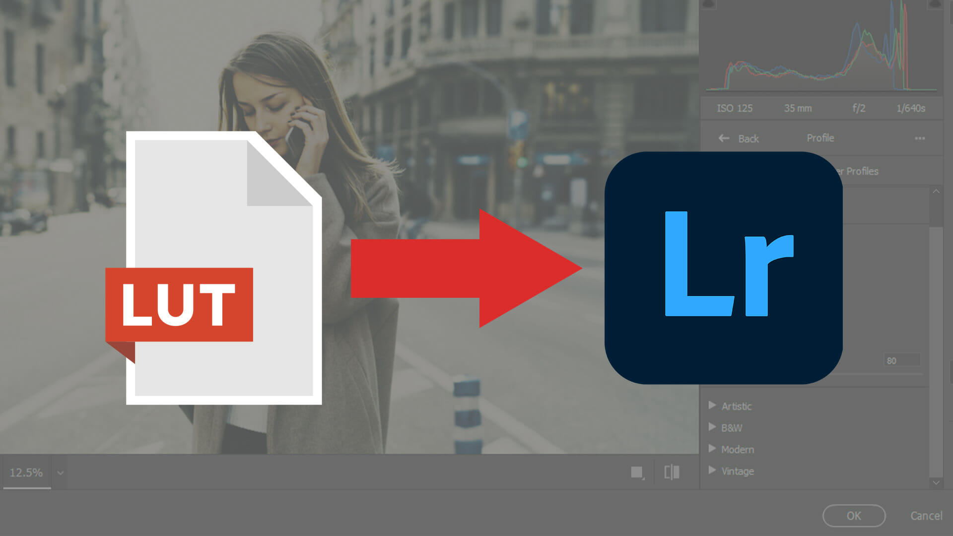 How to Use LUTs in Lightroom