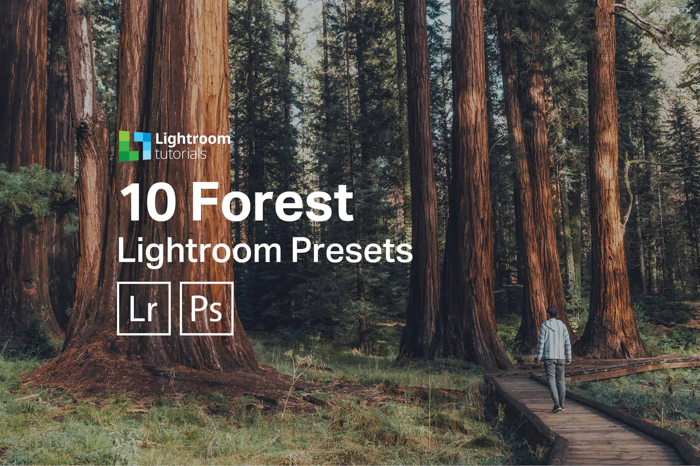 10 Free Forest Lightroom Presets